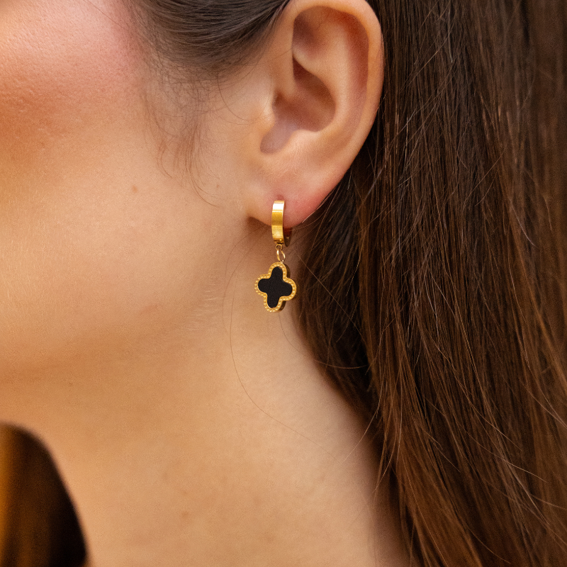 Úplněk bígl (černý)