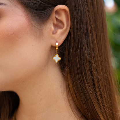 Vanilkový Beagle (bílý)